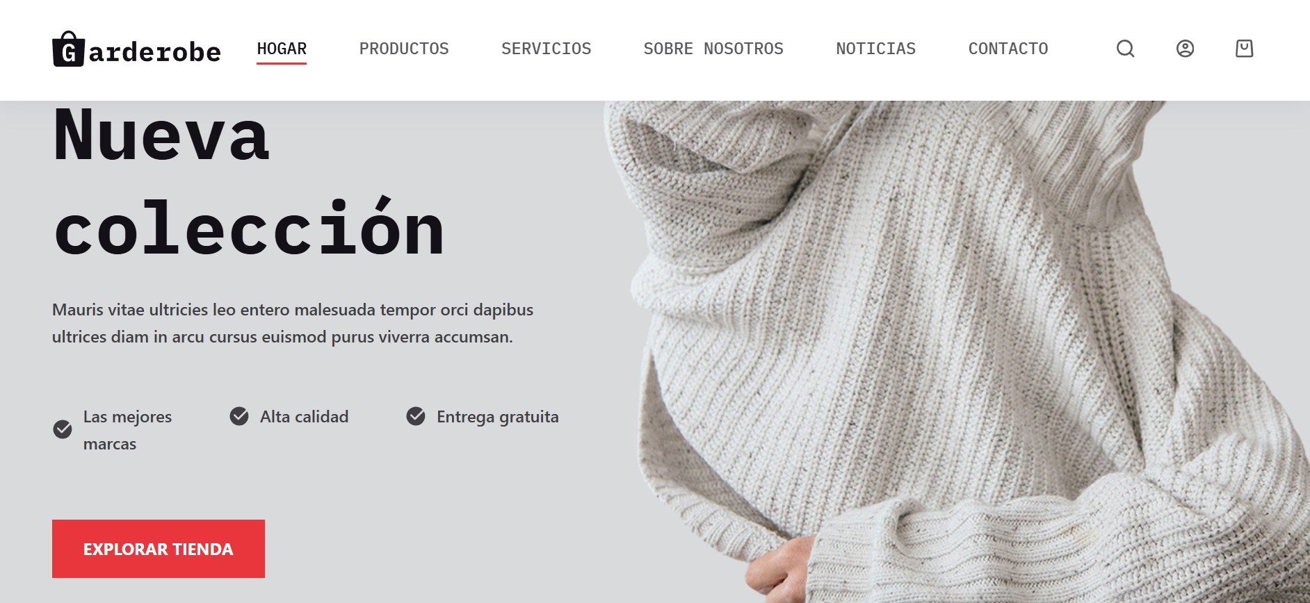 Imagen de tienda online de ropa para seccion de ejemplos de páginas web diseño jhonnypáginasweb